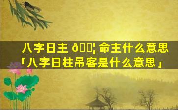 八字日主 🐦 命主什么意思「八字日柱吊客是什么意思」